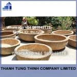 Fiberglass rowing boat for sale in Vietnam