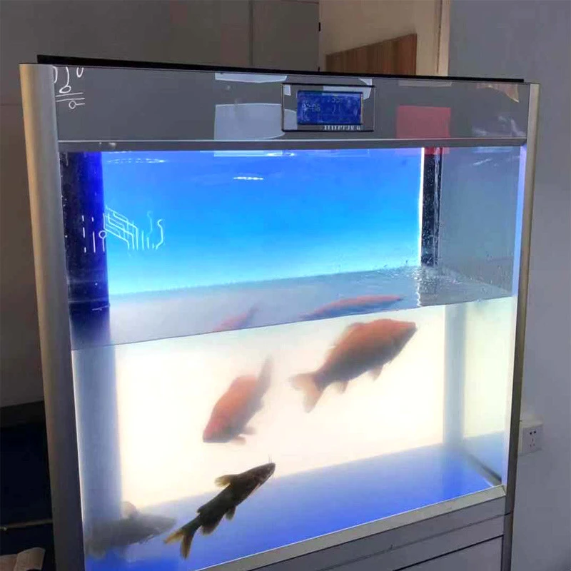 Fish tank light Aquarium LED lights backlight 600 * 360mm