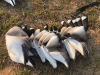 Foam Canadian guarding goose decoy
