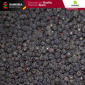 Fresh and frozen Fruits from Spain:  blueberry and blackberry [Faundez SL]