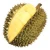 Import Fresh Durian from Thailand Premium Grade from Thailand