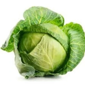 Fresh Green Cabbage for sale