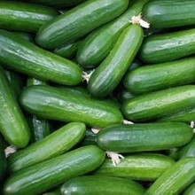 Fresh green Cucumber price