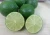 Import Fresh lime from India