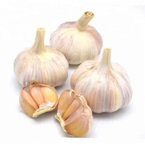Fresh normal white garlic 4.5/5.0/5.5/6.0/6.5cm