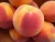 Import Fresh Peach & Nactarine from Egypt