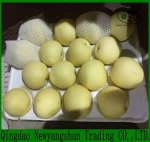 Fresh pear/china peeled onion