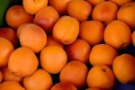 Fresh Red sweet peaches from Ukraine