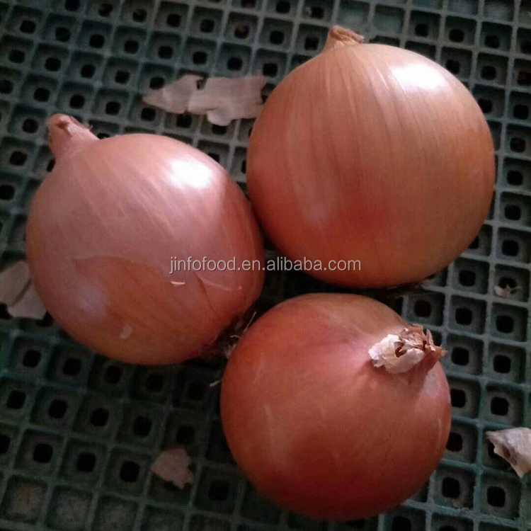 Fresh Round Sallot Small Red and White Onion