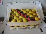 Fresh Seedless Lemons (Citrus Lemon)
