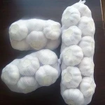 fresh white garlic
