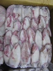 Frozen Whole squid Available