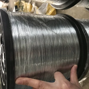 Galvanized Iron Wire *25kg Roll/Black Annealed Soft Binding Wire