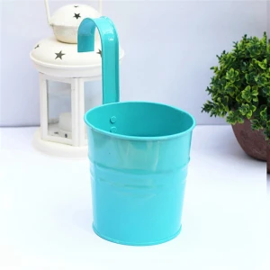 Garden Balcony Flower Metal Hanging Pots Wall Vertical Hang Bucket Iron Holder Basket With Removable Tin Home Decor