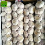 Garlic Chinese fresh normal white garlic small package 3P 5P mesh bag in carton fresh garlic