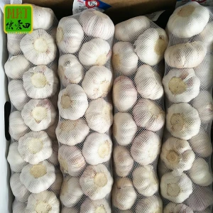 Garlic Chinese fresh normal white garlic small package 3P 5P mesh bag in carton fresh garlic