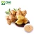 Import Ginger extract 6-gingerol 1% 2% 5% / the shelf life of powdered ginger from China