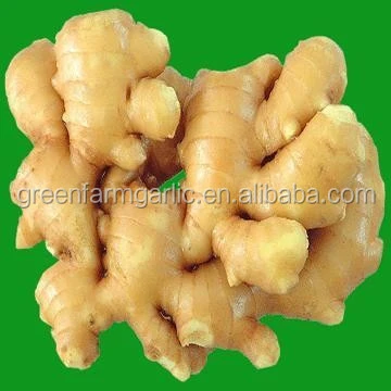 ginger root wholesale price