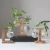 Import Glass Tabletop flower vase Hydroponic Plant Home Decor Vase with Wooden Frame vase decoration from China