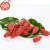 Import Goji fruit chinese dried fruit berry goji food ingredients used for cake from China
