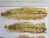 Import Good Food Dried Seafood Medium Fish - Seafood High Quality Dried Lizard Fish from Vietnam