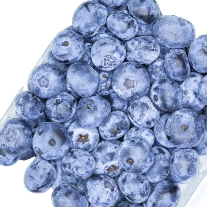 Good frozen strawberries price organic iqf blueberry