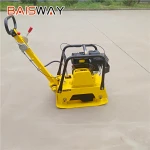 Good Quality!!! Gasoline Engine/Diesel Engine Plate Compactor