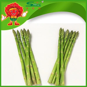 Green aspargus fresh asparagus prices