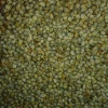 Green Millet Supplier from india