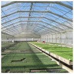 Greenhouses High Quality Advanced Agriculture Glass Greenhouses