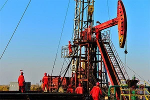 High API Gravity Petroleum Nigeria Bonny Light Crude Oil for Sale