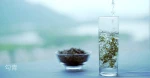 High Grade High Quality GouQing Green Tea Products Green Tea Handpicked For Sale