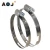 Import High quality DIN 3017 German type stainless steel hinge pipe clamp from China