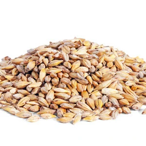 High quality feed barley