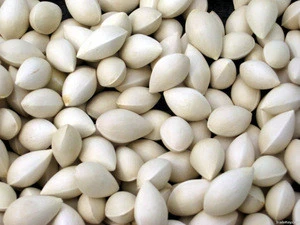 High Quality Ginkgo nuts For Sale