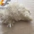 Import High Quality Natural Clear Quartz Crystal Crafts Clear Rock Quartz Cluster For Decoration from China