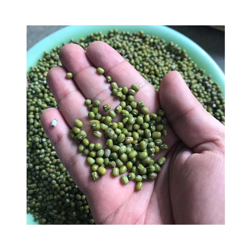 High Quality Wholesale Myanmar Green Mung Beans