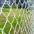 Import High Security Steel Chain Link Wire Mesh Airport Fence from China