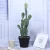 Import Home simulation cactus large potted plants large ornaments living room shop green plant decoration from China