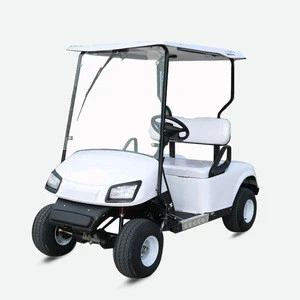 Hot Sale 2 person electric mini golf cart