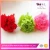 Import hot sale &amp; high quality 5-6cm diameter Wholesale Preserved Natural Flowers from China