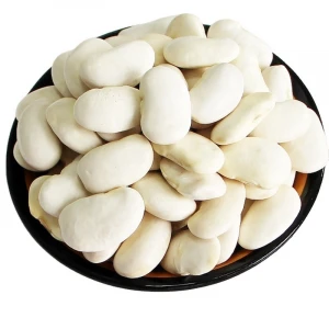 Hot Sale Chinese New Crop Dry White Kidney Beans Wholesale Cheaper