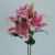 Import Hot Sale Factory Direct Sell Large Marlon Lily Flowers Fresh Flower From Kunming from China