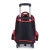 Import Hot Sales Detachable Wheeled Backpack Kids Trolley School Bag from China