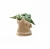 Import Hot Sell Cute Baby Yoda Toy Collectible Film Character PVC Figure Action Figure from China