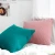 Import Hot Selling Throw Pillow Sofa Cushion Cover Decorative Throw Pillows from China