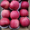 Hot selling wholesale fresh fuji apples exporters top grade 100% Natural Organic delicious red fresh apples