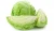Import Indian Fresh Cabbage from India