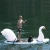 Import Inflatable Rowing Boats with White Swan Head &amp; Seat Surfboard For Men Women Kids Safe Surf Board Stand-Up Floats Water Party Toy from China