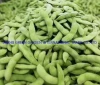 IQF Frozen Peeled Green Soy Bean, Wholesale Bulk Frozen Peeled Edamame Soybean Kernel IQF China Frozen Green Soya Beans with Good Price